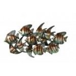 Angel Fish Shoal