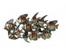 Angel Fish Shoal