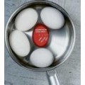 Egg Perfect Timer Egg Perfect Timer