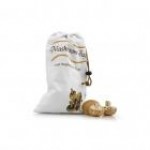 Mushroom Bag
